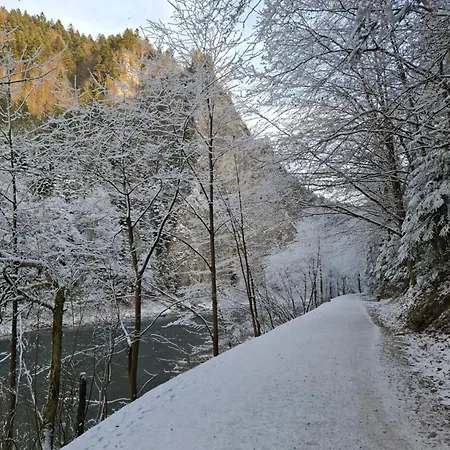 Pieniny Apartment *