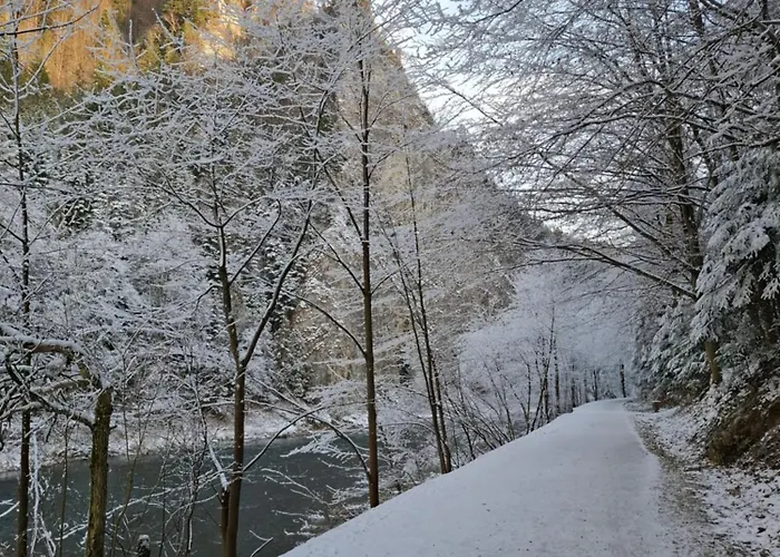 Pieniny Lägenhet *